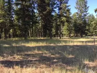 Libby, MT 59923,Lot 2 Beach RD