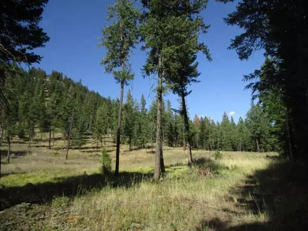 Rexford, MT 59930,Lot 1 Othorp Lake RD