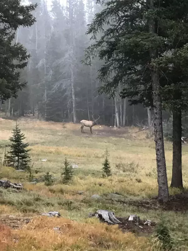 Boulder, MT 59632,Tbd Woodchute Cabin One