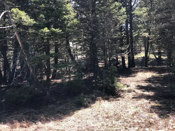 Raynesford, MT 59469,Tbd Limestone Canyon TRL