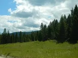 Kila, MT 59920,Lot 6 Rogers Lake RD