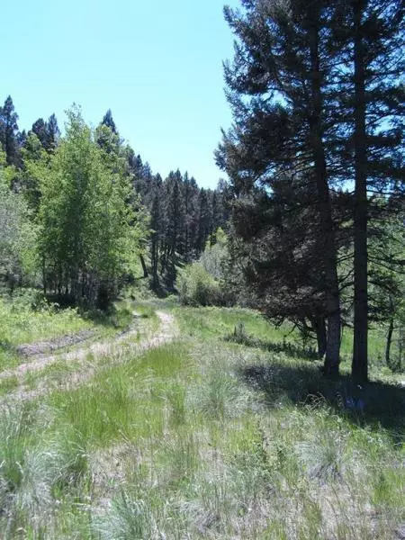 Helmville, MT 59843,Lot 7 Upper Whitetail DR