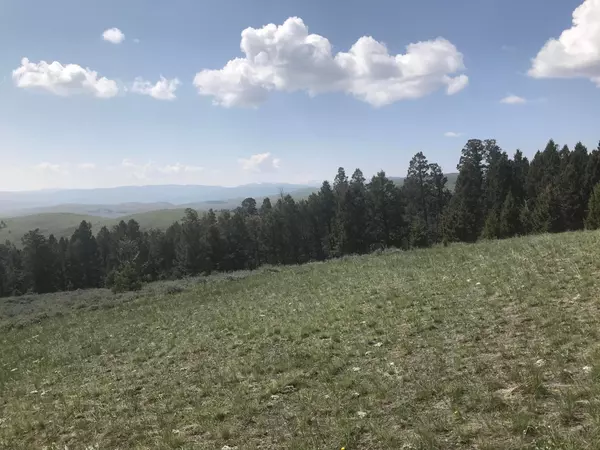 White Sulphur Springs, MT 59645,40 Bridger View CIR