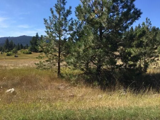 Polson, MT 59860,Nhn Lot 35 Meadow RD