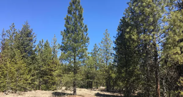 Libby, MT 59923,Lot 1 Pleasant Valley RD