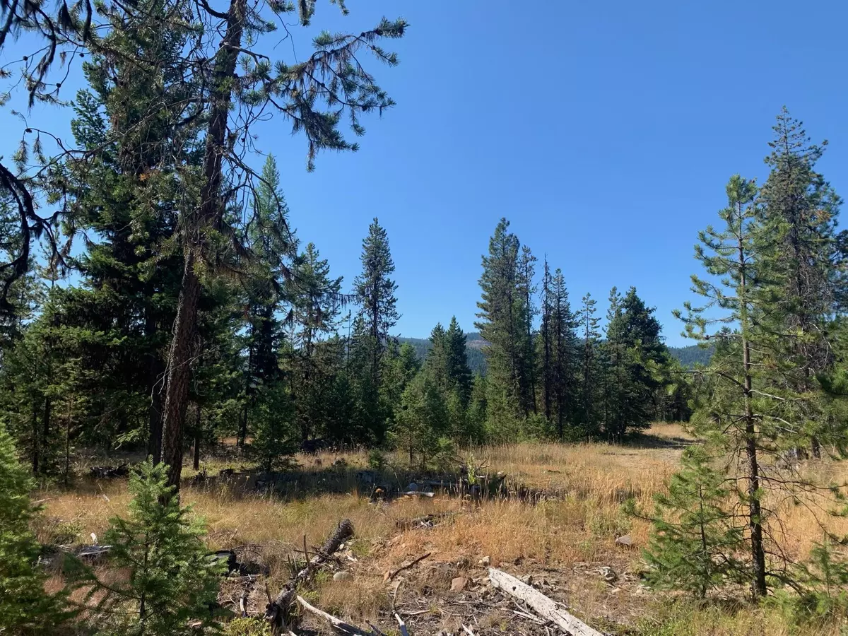 Libby, MT 59923,Lot 10 Heavenly DR