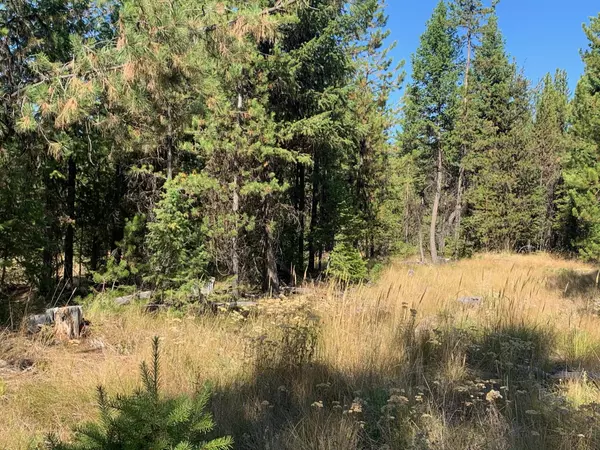 Libby, MT 59923,Lot 12 Heavenly DR