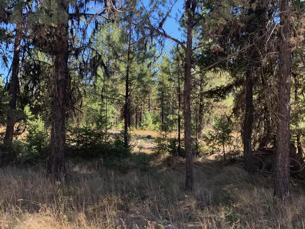 Libby, MT 59923,Lot 15 Pleasant Valley RD