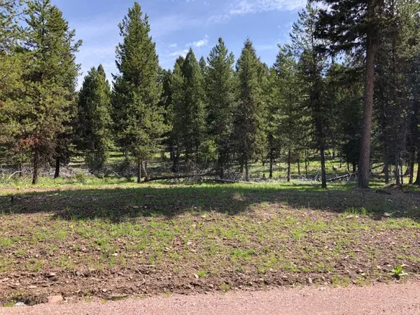 Seeley Lake, MT 59868,207 Silvertip TRL