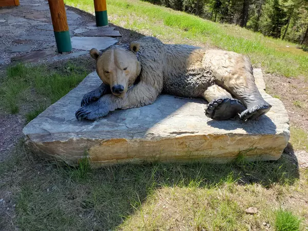 Seeley Lake, MT 59868,1000 Stage Coach DR