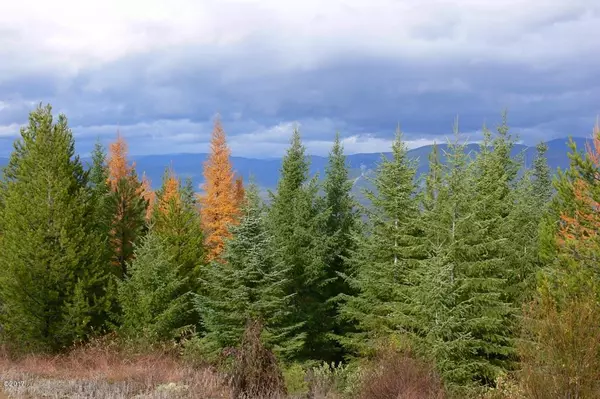 Libby, MT 59923,Lot 6 Panoramic View DR