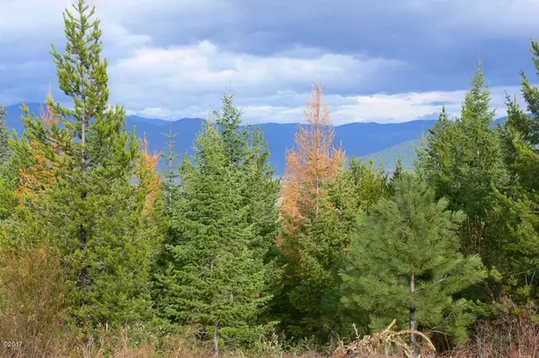 Libby, MT 59923,Lot 9 Panoramic View DR