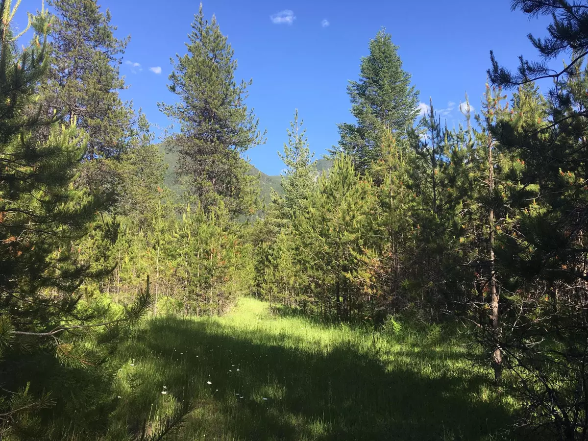 Trout Creek, MT 59874,Lot 10+12 Triple J LOOP