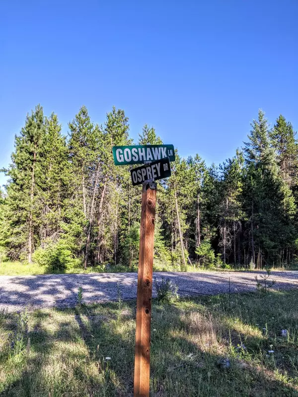 Thompson Falls, MT 59873,Lot 6 Goshawk LN