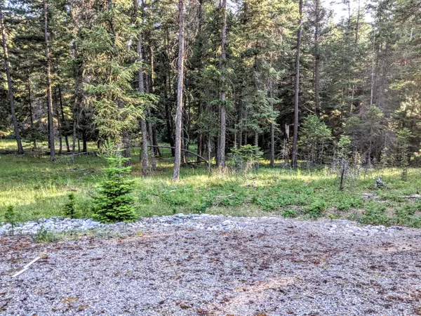 Thompson Falls, MT 59873,Lot 6 Goshawk LN