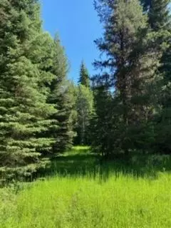 Condon, MT 59826,Nhn Scenic DR