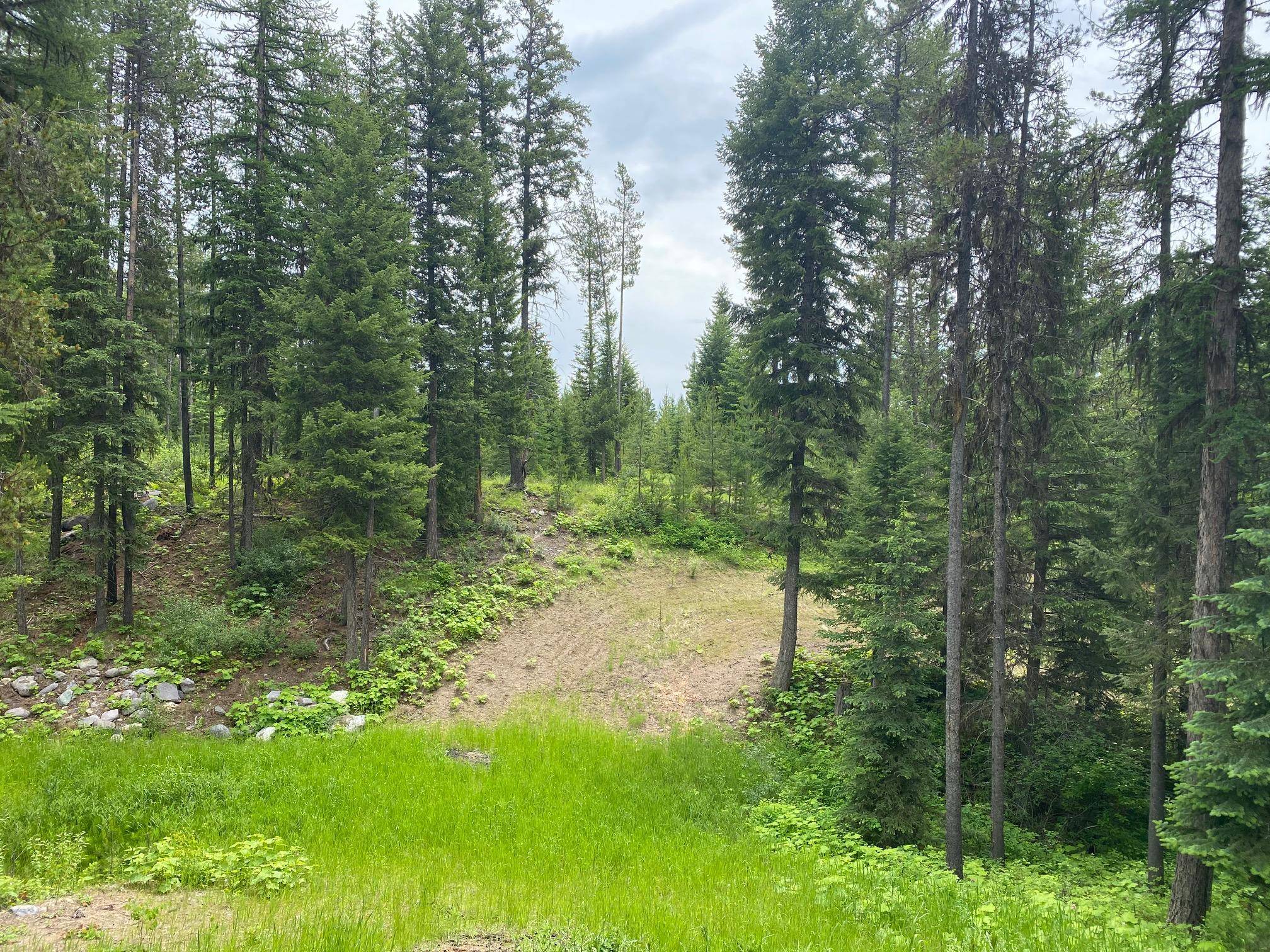 Whitefish, MT 59937,309 Lupfer RD