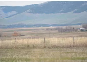Polson, MT 59860,Nhn Cimarron LN