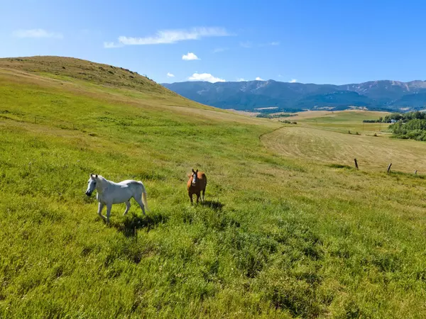 Red Lodge, MT 59068,0 Upper Luther RD