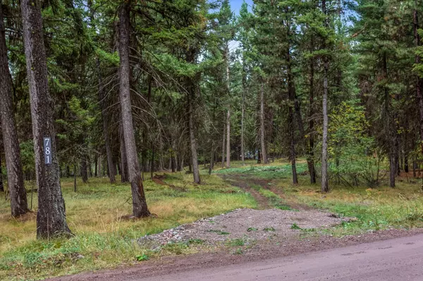 Seeley Lake, MT 59868,781 Stagecoach DR