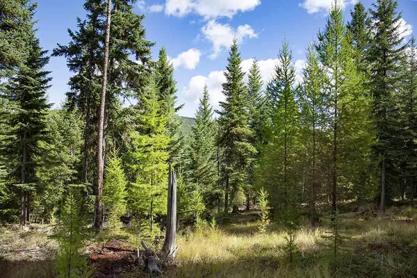 Rexford, MT 59930,Lot 8 Tamarack LN