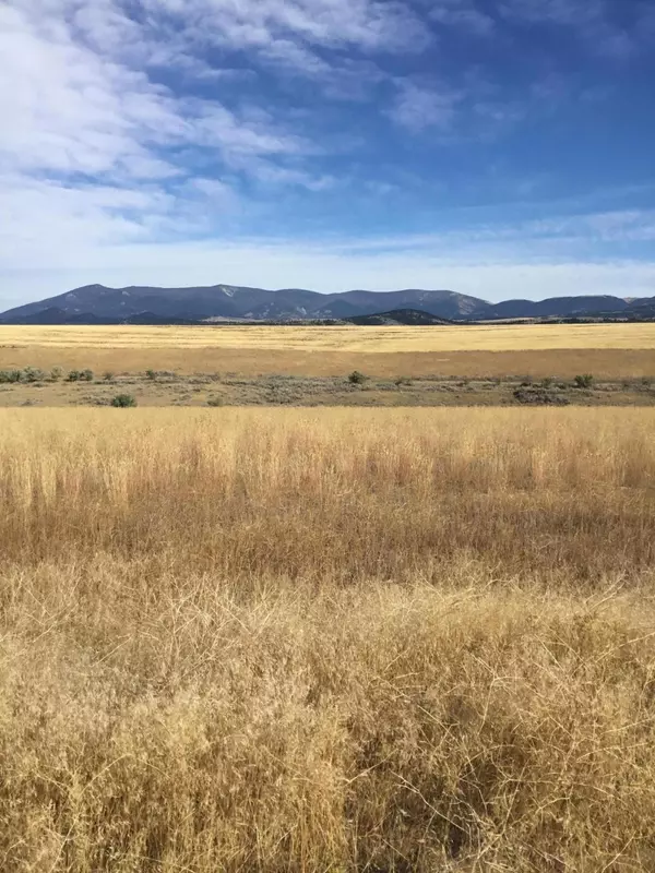 Townsend, MT 59644,Lot 1A-18 Savane Estate