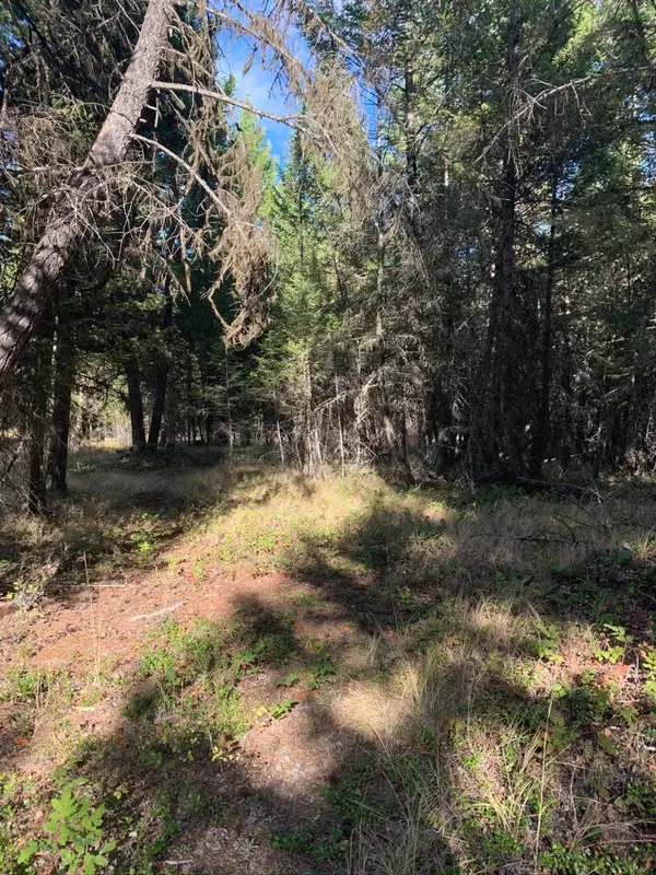 Rexford, MT 59930,Lot 1 Moonshine Mountain TRL