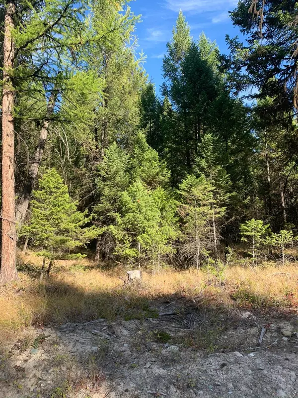 Rexford, MT 59930,Lot 1 Moonshine Mountain TRL