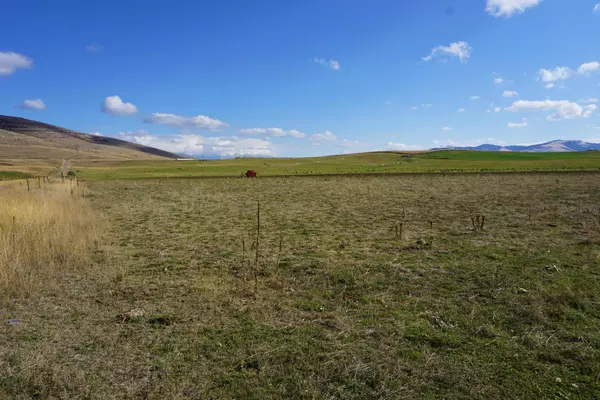 Moiese, MT 59824,Nhn Bird Farm RD