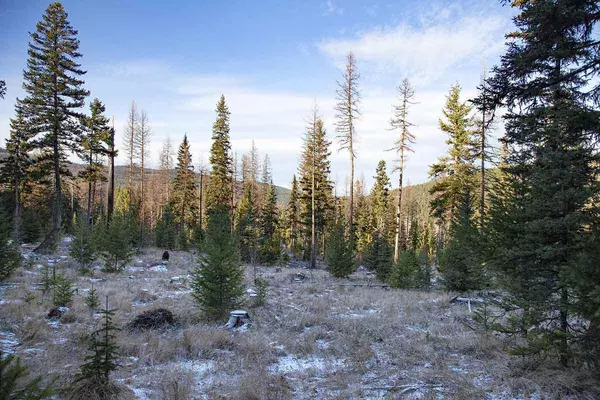 Rexford, MT 59930,Lot 19 Tamarack LN