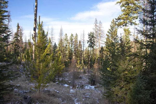 Rexford, MT 59930,Lot 19 Tamarack LN