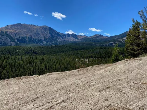 Melrose, MT 59743,Avon Trapper Creek RD