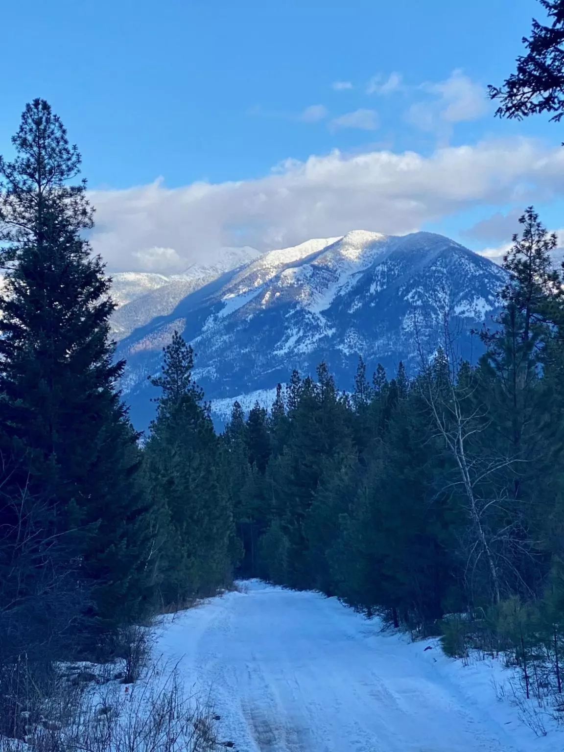 Arlee, MT 59821,Nhn Arlee Pines DR