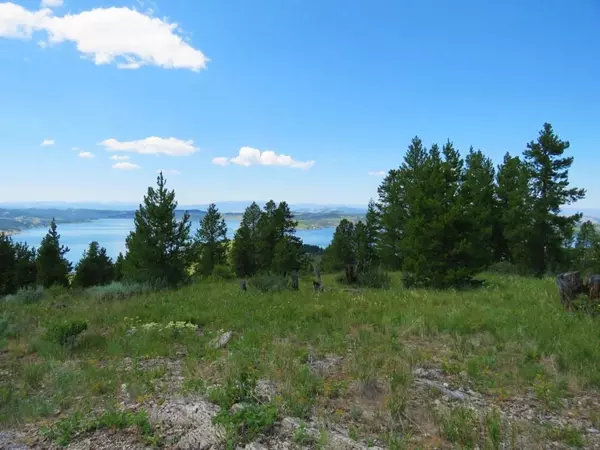 Anaconda, MT 59711,37 Elk Meadows RD