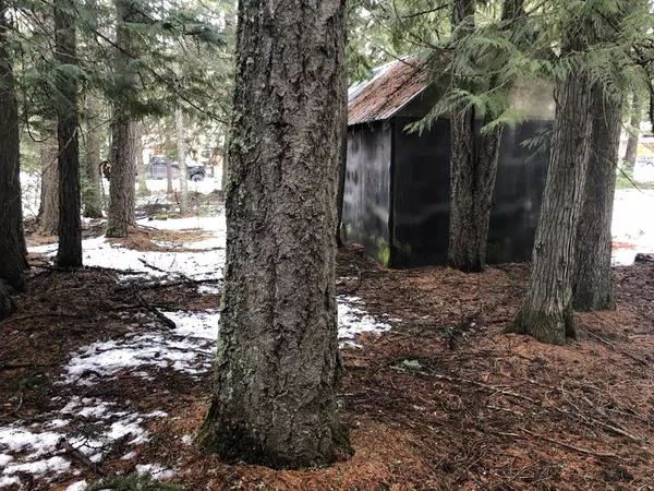 Address Not Disclosed