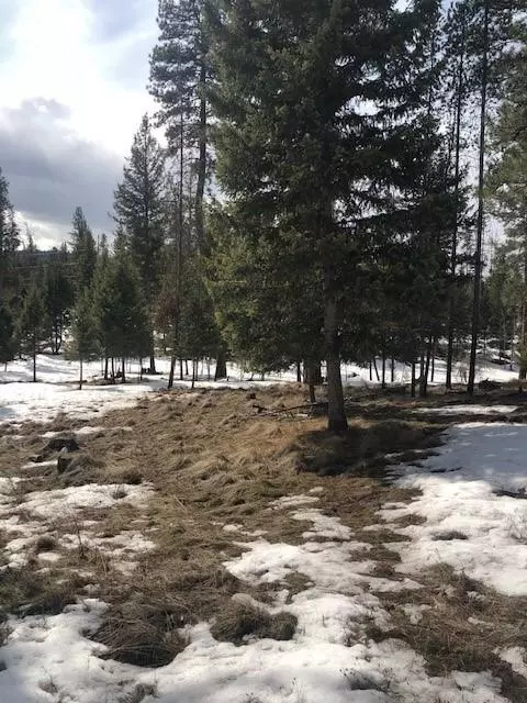 Seeley Lake, MT 59868,Nhn Cougar CT