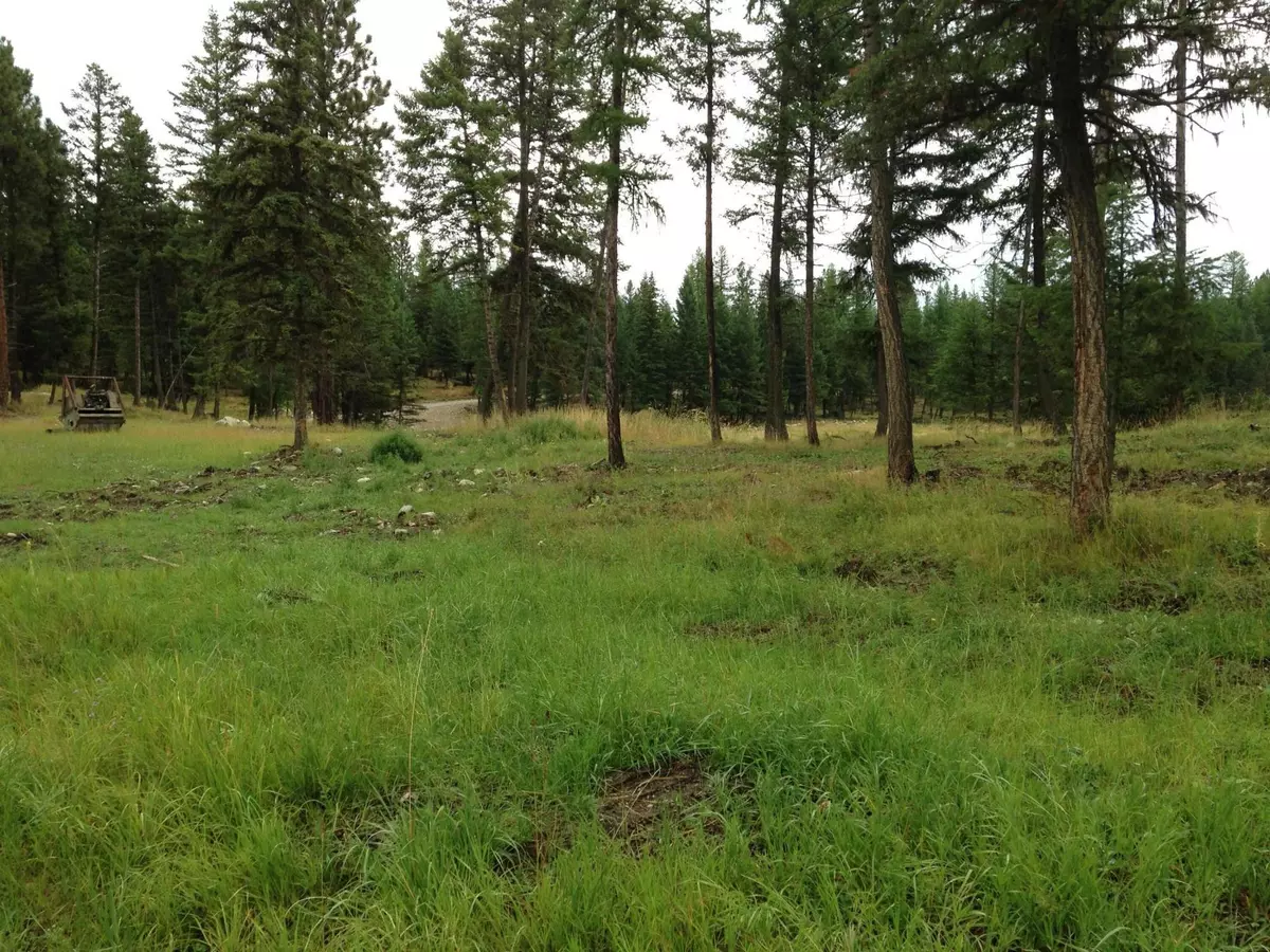 Rexford, MT 59930,Parcel C W Dodge Creek RD