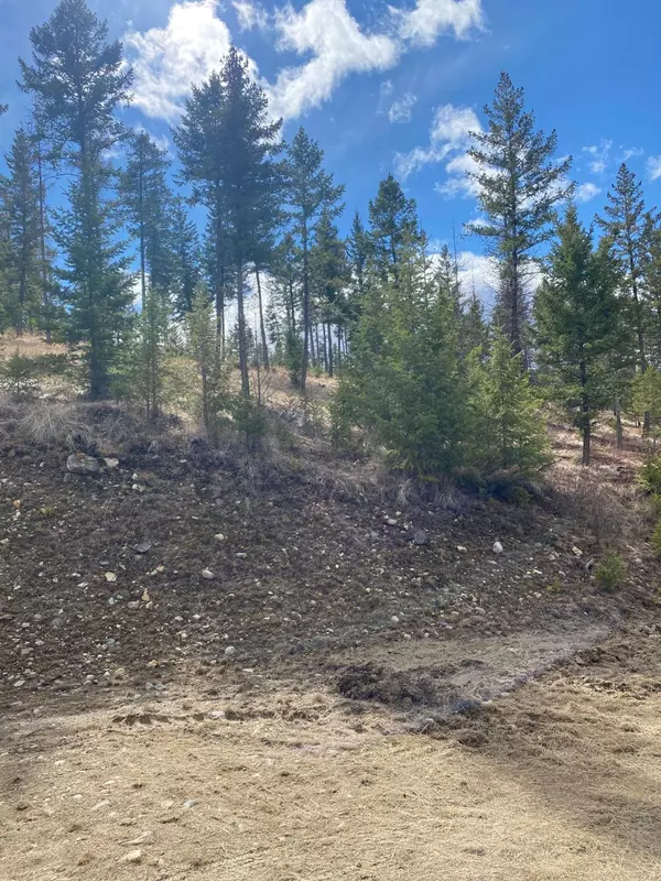 Rexford, MT 59930,Lot 1 Annerly Ferry RD