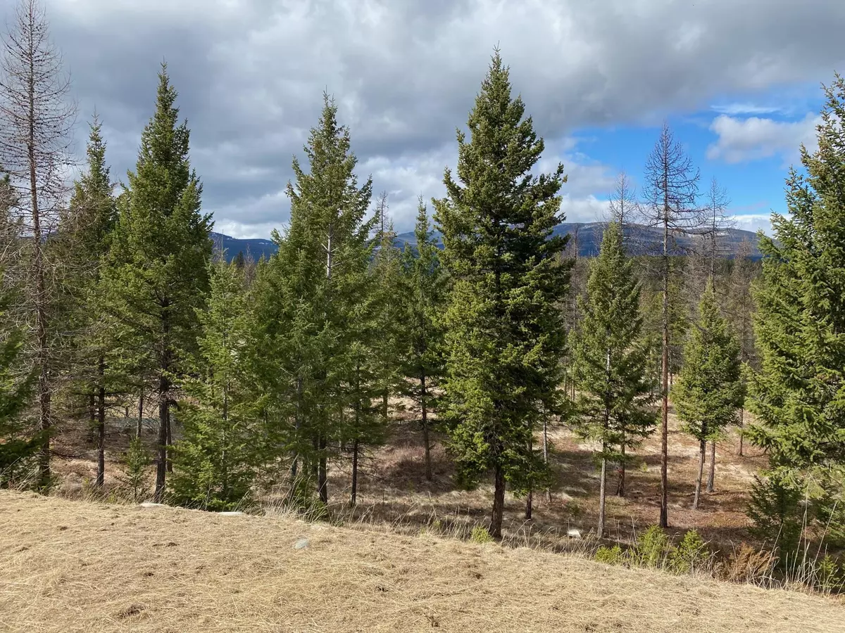 Rexford, MT 59930,Lot 1 Annerly Ferry RD