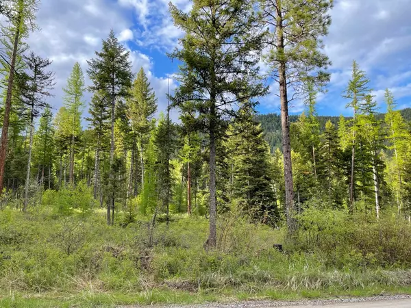 Marion, MT 59925,125 Acres On Idaho Hill RD