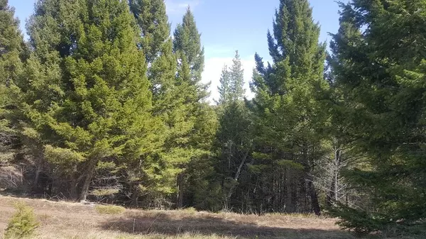 Helmville, MT 59843,Lot 28 Twin Peaks RD