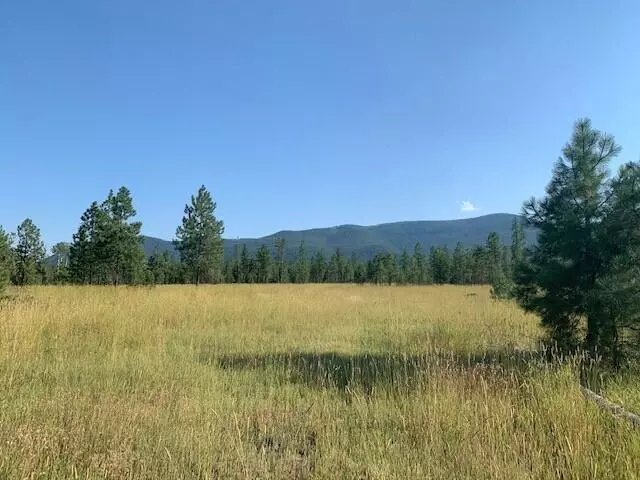 Trout Creek, MT 59874,Lot 2 Trout Creek RD