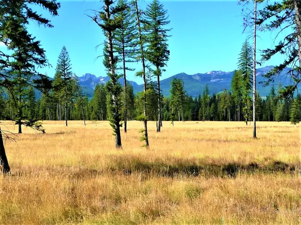 Condon, MT 59826,491 Remicks RD