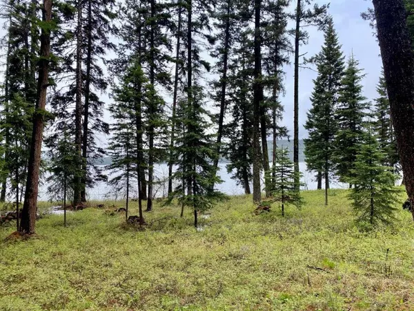 Seeley Lake, MT 59868,662 Placid View PL