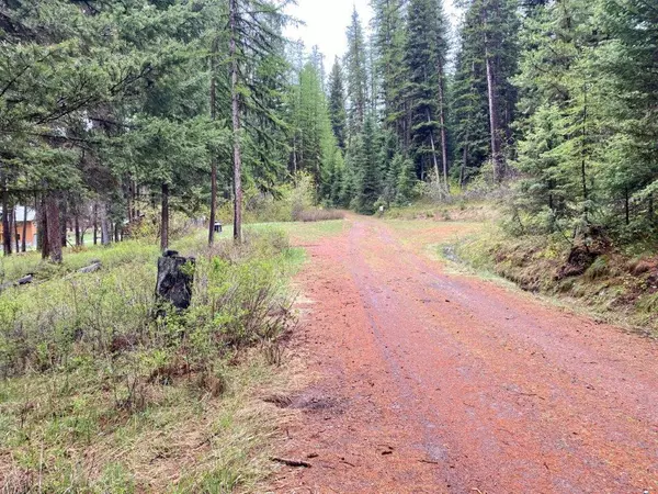 Seeley Lake, MT 59868,662 Placid View PL