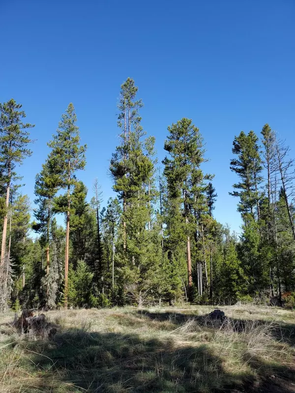 Lincoln, MT 59639,Unknown Bear Gulch