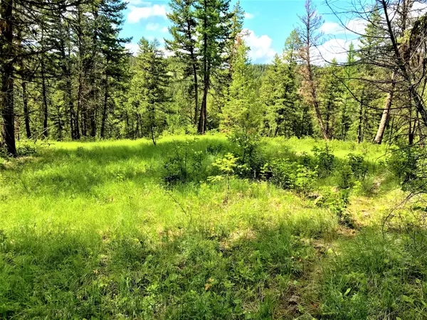 Rexford, MT 59930,254 Angus DR