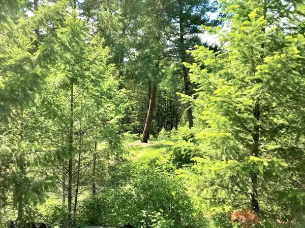 Rexford, MT 59930,254 Angus DR