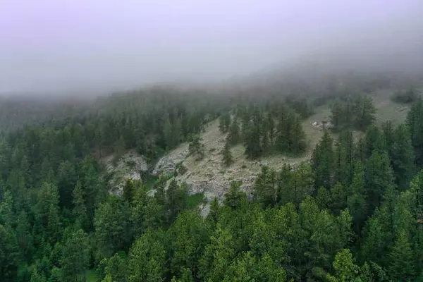 Lewistown, MT 59457,0 Ruby Gulch RD