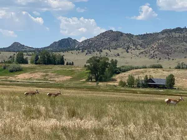 Ennis, MT 59729,Lot 49 Sky View